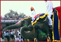 Elephant Festival, Jaipur