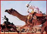 Camel Race in Rajasthan