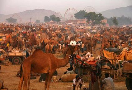 Pushkar Fair Pushkar Rajasthan