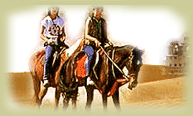 Horse Safari Tours, Horse Safari in India