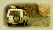 Safari Tours, Jeep Safari Tours