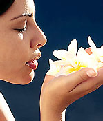 aromatherapy in India