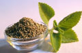 Ayurveda