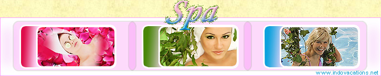 Organize your private Spa Tours with Indo Vacations !