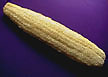 natural loofah