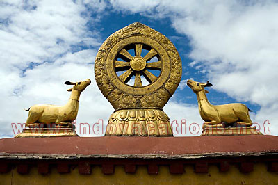 Tibet Tour Dharmachakra Jokhang Temple