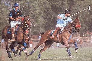 Horse Polo, Horse Polo in Rajasthan