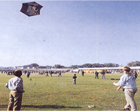 Kite Flying, Kite Festival in Rajasthan