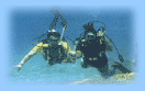 Lakshadweep Beach of India is like pardise for divers as there is rich collection of Fishes and corals.