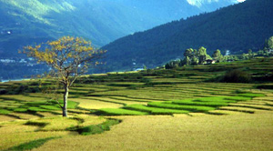 Bhutan Land, Bhutan Geography