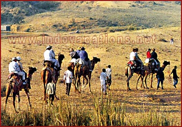 camel safari, Rajasthan