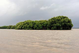 Pichavaram, Chidambaram