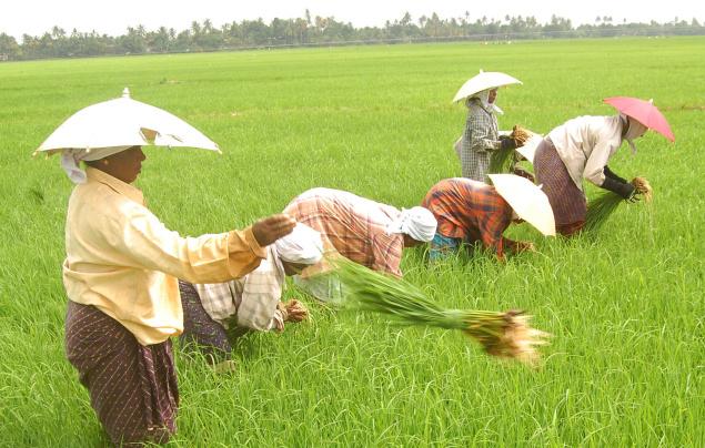 Kuttanad, Alleppey