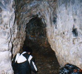 Saptaparni Cave, Rajgir