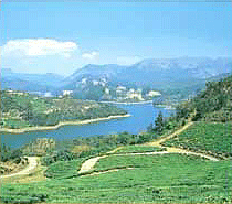 Coonoor, Tamil Nadu