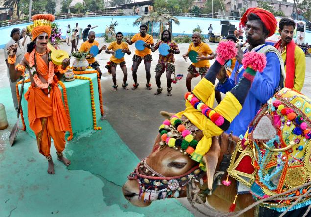 Pongal Festival