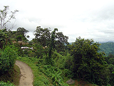 Jatinga, Assam