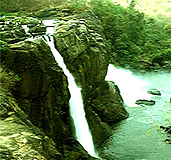 Palaruvi Waterfalls, Kollam