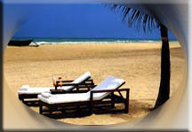 Goa Beach, Beaches in Goa