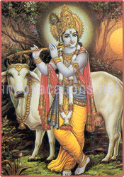 Lord Shri Krishna