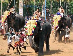 Makaravillakku Festival