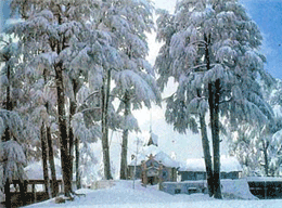 Himachal Winter Carnival, Manali