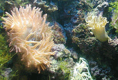 Marine National Park, Gujarat