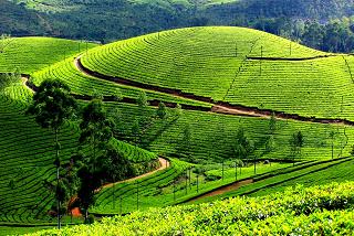 Indian Geography, The Western Ghats