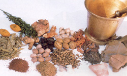 Unani System of Medicine