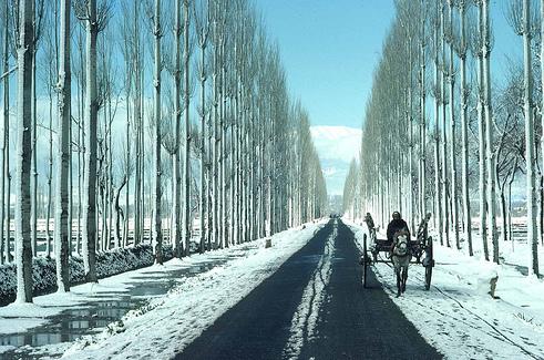 Gulmarg