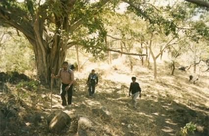 Kumbhalgarh trek