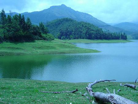 Munnar Tea 

Garden