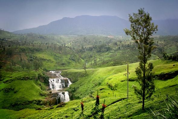 Nuwara Eliya Srilanka