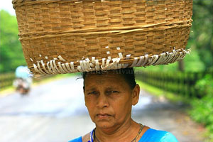 Goa People, People of Goa