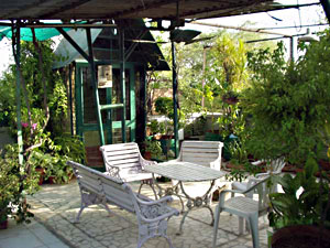 Delhi Bed and Breakfast
