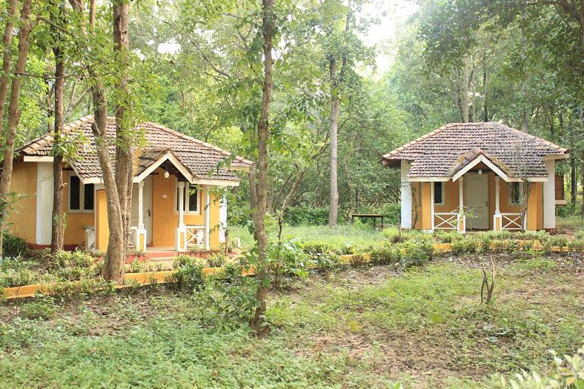 Room in Wild Chalet Resort, Kanha National Park