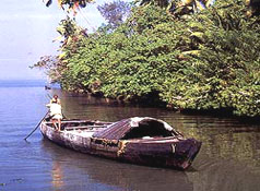 Tourist attraction in Alleppey