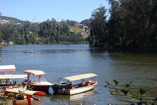 Ooty Lake, Ooty