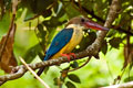 Kumarakom Bird Sanctuary