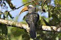 Thattekkad Bird Sanctuary