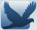 India Birding Tours