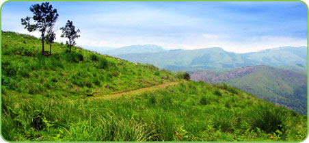 Calveri Mount, Idukki