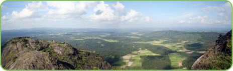 Edakkal Caves, Wayanad