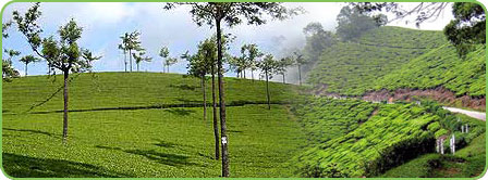 Hill Stations in Kerala