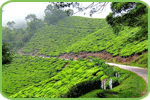 Kerala Hill Stations