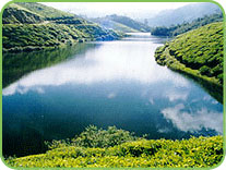 Mattupetty Lake, Munnar