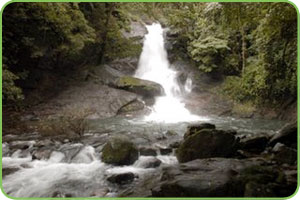 Meenvallam Waterfalls, Kerala