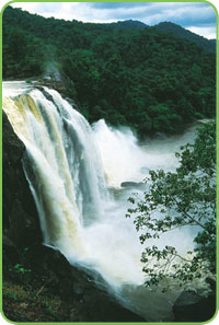 Palaruvi Waterfalls, Kollam