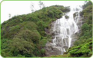 Power House Waterfalls, Kerala 