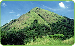 Ranipuram, Kasaragd